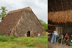 13 Cuba - Vinales - Tobacco Curing Barn